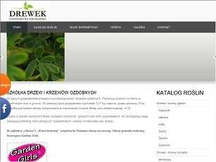 www.drewek.pl